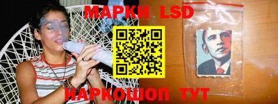 индика Будённовск
