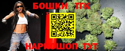 индика Будённовск