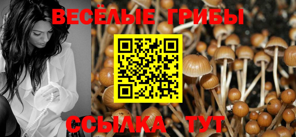 Галлюциногенные грибы Psilocybine cubensis  Вход с VPN  Электросталь  Галлюциногенные грибы MAGIC MUSHROOMS 